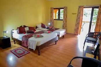 Nocleg ze śniadaniem Georgina's 4*